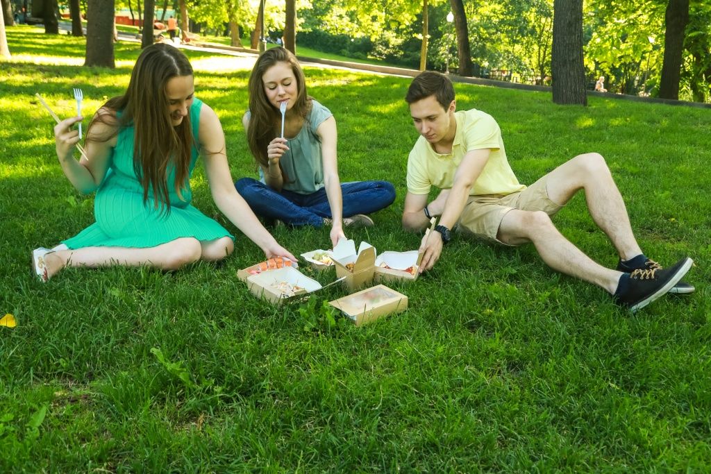 Pic-nic[1].jpg